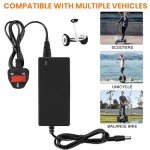 42V 2A Fast Charger for Electric Scooters