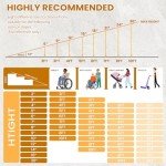 4FT Foldable Aluminum Wheelchair Ramp for Home