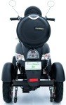 Green Power 4-Wheeled Mobility Scooter with Accessories