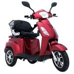 Green Power 3-Wheel Electric Mobility Scooter with Accessories