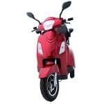 Green Power 3-Wheel Electric Mobility Scooter with Accessories