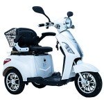 Green Power Electric Mobility Scooter with Accessories