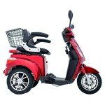 Green Power 3-Wheel Electric Mobility Scooter with Accessories