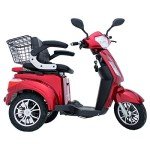 Green Power 3-Wheel Electric Mobility Scooter with Accessories
