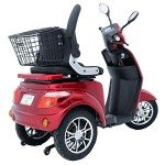 Green Power 3-Wheel Electric Mobility Scooter with Accessories