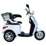 Green Power Electric Mobility Scooter with Accessories