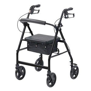 Lightweight Folding Walker with Seat and Brakes