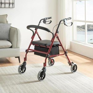 Panana Folding 4-Wheel Rollator with Padded Seat