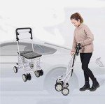 6-Wheel Sit & Go Shopping Trolley with Seat