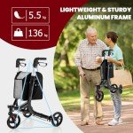 Lightweight 3-Wheel Folding Mobility Walker with Bag