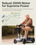 PAISEEC S1 All-Terrain Mobility Scooter for Adults