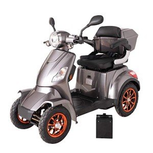 Fast Gray e-Mobility Scooter with Detachable Battery