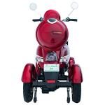 Green Power 4-Wheel Red Mobility Scooter Package
