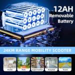 Folding 4-Wheel Electric Mobility Scooter for Adults