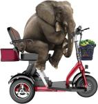 Lightweight Foldable 3-Wheel Mobility Scooter for Seniors