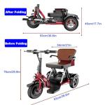 Lightweight Foldable 3-Wheel Mobility Scooter for Seniors