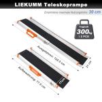 Aluminium Telescopic Ramp for Wheelchairs and Bicycles