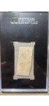 1923 Ty Cobb W515-1 Hand Cut Sports Card
