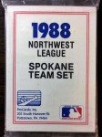 1990 ProCards Sumter Braves Minor League Team Set