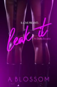 Leak It: An Erotic Novella
