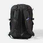 Patagonia Refugio Day Pack - 30L Backpack