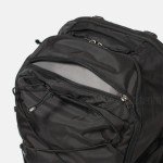 Patagonia Refugio Day Pack - 30L Backpack