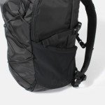 Patagonia Refugio Day Pack - 30L Backpack