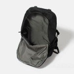 Patagonia Refugio Day Pack - 30L Backpack