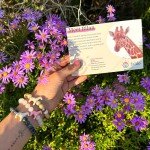 Fahlo Giraffe Tracking Bracelet - Sahara Stone