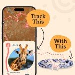 Fahlo Giraffe Tracking Bracelet - Sahara Stone