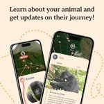 Fahlo Gorilla Tracking Bracelet for Dian Fossey Fund