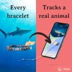 Blue Tracking Bracelet Bundle - Supports Saving Lives