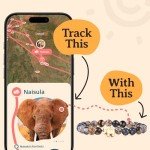 Elephant Tracking Bracelet for Conservation - Unisex