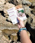Fahlo Lion Tracking Bracelet - Support EWASO Lions
