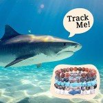 Fahlo Shark Tracking Bracelet - Supports Ocean Conservation