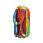 Cotopaxi Luzon 24L Backpack - Unique Colors!