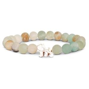 Fahlo Lion Tracking Bracelet - Support EWASO Lions