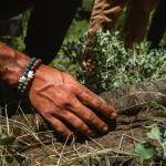 Fahlo Elephant Tracking Bracelet for Conservation - Unisex