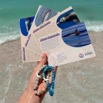 Fahlo Dolphin Tracking Bracelet - Aqua Blue