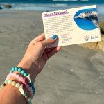 Fahlo Dolphin Tracking Bracelet - Aqua Blue