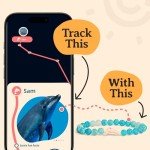 Fahlo Dolphin Tracking Bracelet - Aqua Blue