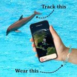 Fahlo Dolphin Tracking Bracelet - Aqua Blue
