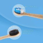 Electric Toothbrush Replacement Heads for Sonicare (4pk)