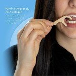 Eco-Friendly Floss Picks - 200 Count Bundle