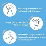 The Humble Co. Stainless Steel Tongue Scraper (2pk)