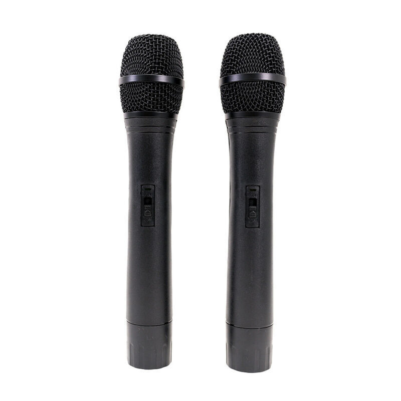 10" Bluetooth DJ Karaoke Speaker Set with LEDs