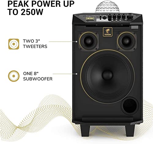 TONOR Karaoke Machine with 2 Wireless Mics