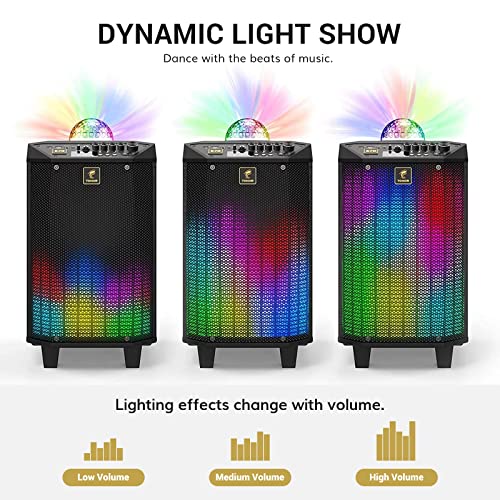 TONOR Karaoke Machine with 2 Wireless Mics