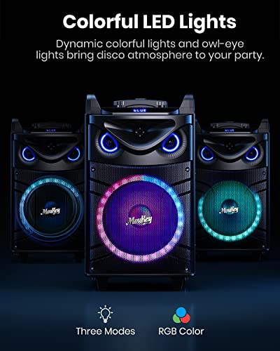 Portable Karaoke System with Bluetooth and Microphones