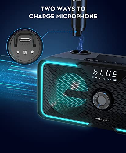 BIGASUO Karaoke Machine with 2 Wireless Microphones